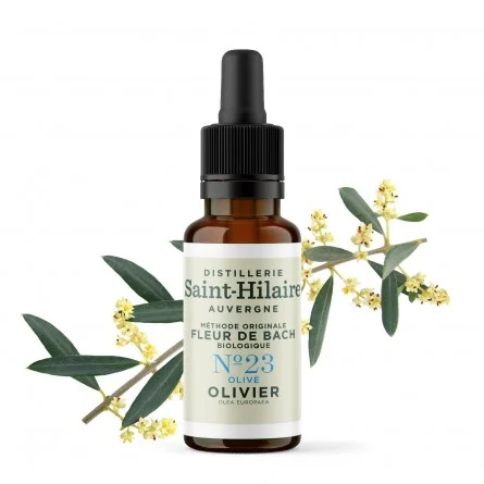 Fleur de bach olivier n°23 bio (olive) - 1